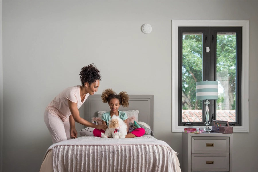 smoke & carbon detector Rockford